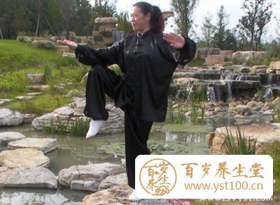 中国武术 太极拳有多少练法