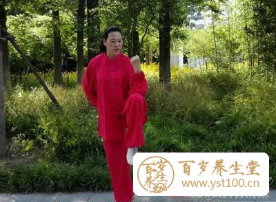 太极拳的特点 挤和按是太极拳的进击招