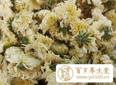 菊花各50g，研为细末