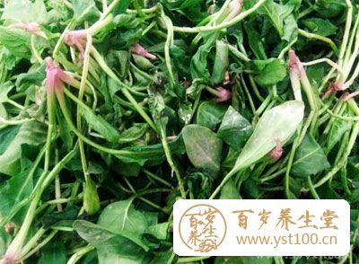 菠菜具有极强的抗氧化能力，有助于减缓由于年龄增长造成的认知障碍和中枢神经系统损坏
