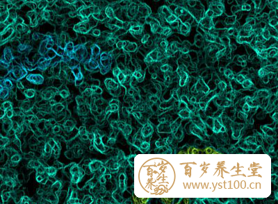 Nature子刊 饮食快速改变“第二基因组”