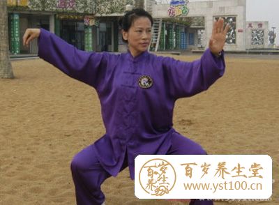 陈氏太极拳教学 陈氏太极拳大架小架的劲路区别
