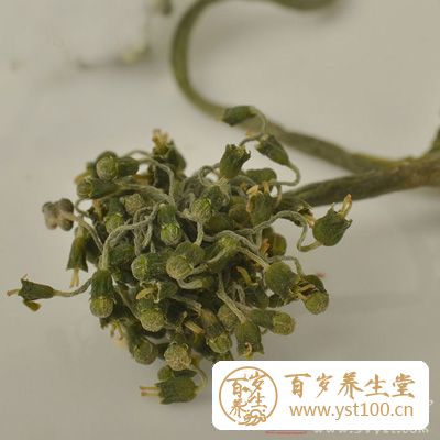 人参花可以改善胃肠功能